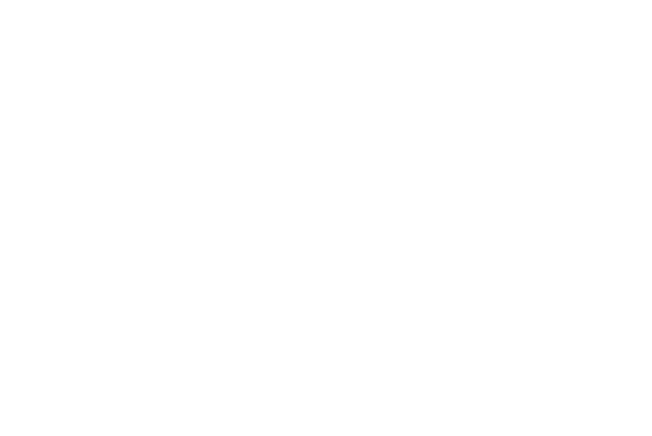 1. BRAS - Logo