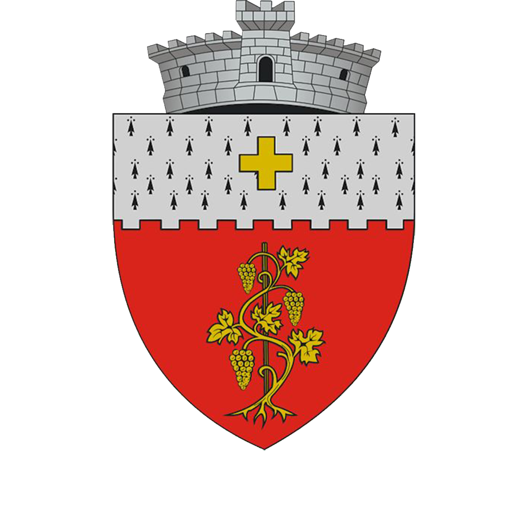 2. Aroneanu-logo