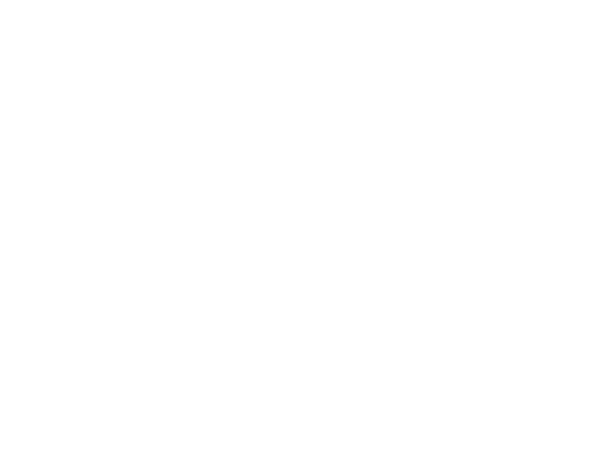 4.-DiNapo---logo1